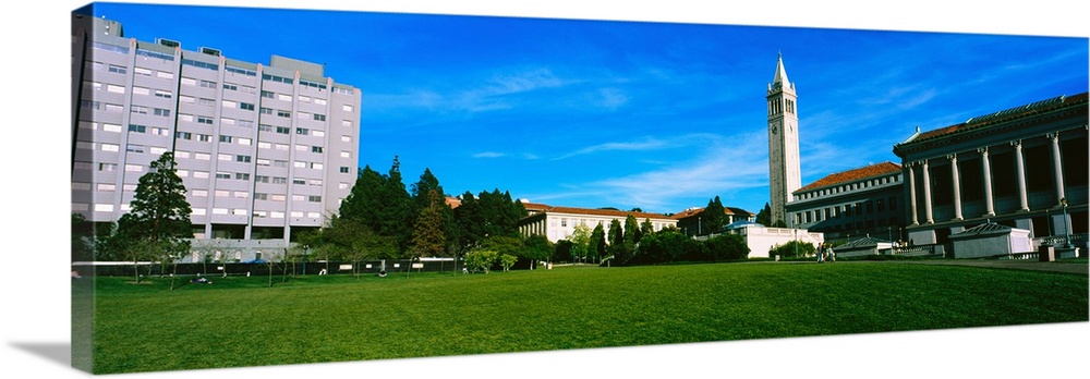 Lawn in front of a university building, University Of California, Berkeley, Alameda County, California, USA