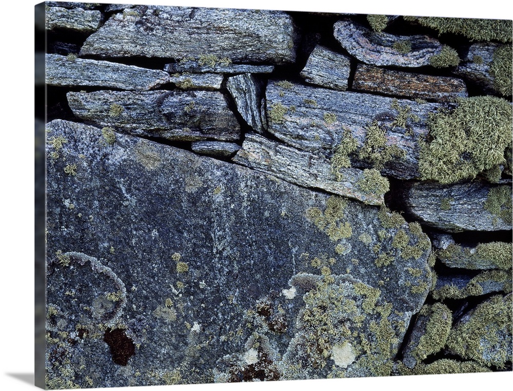 Lichen Encrusted Stone Wall