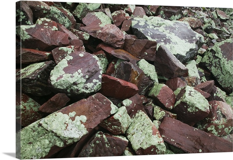 Lichen growing on quartzite rock boulders, close up, Devils Lake State