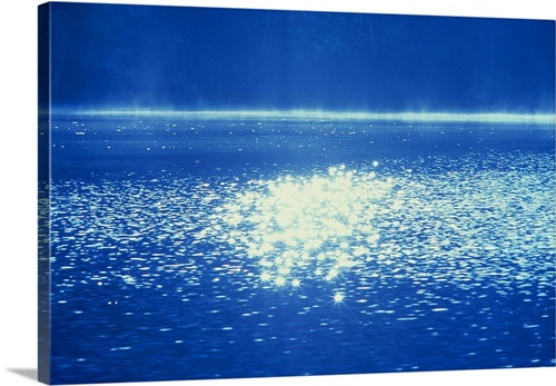 Light reflection patterns on water surface in the sea | Great Big Canvas