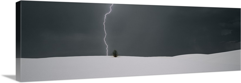 Panoramic photo print of a lightning strike hitting behind a plant near a sand dune.