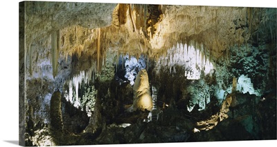 Limestone in a cave, Carlsbad Caverns National Park, New Mexico