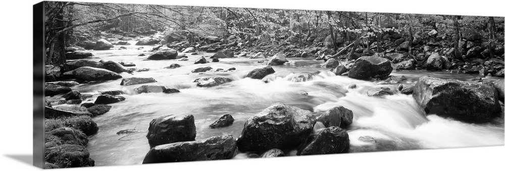 Little Pigeon River Great Smoky Mts National Park TN