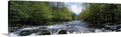 Little Pigeon River Greenbrier Area Great Smoky Mtns National Park TN