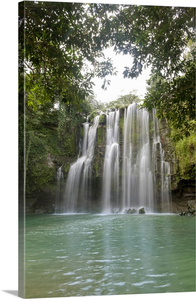 Water cascades down a short vertical cliff into a pond in the tropical forest of this vertical landscape photograph.
