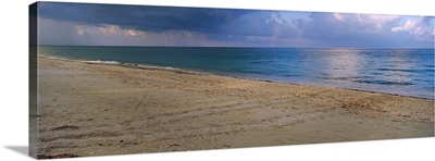 Loggerhead turtle (Caretta caretta) tracks on the beach, Casey Key, Osprey, Sarasota County, Florida,
