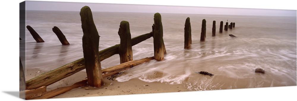 Logs on the beach, Spurn, Yorkshire, England