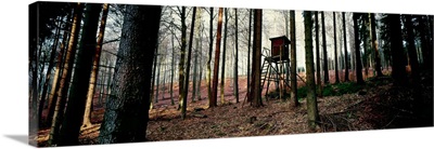 Lookout Tower In A Forest, Schwarzwalder Hochwald, Germany