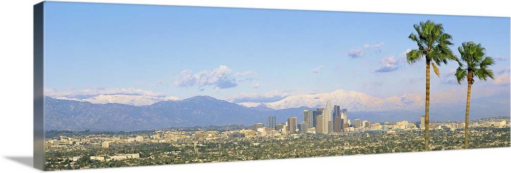 A wide angle photograph taken from an aerial view of Los Angeles with two large palm trees on the right of the picture and...