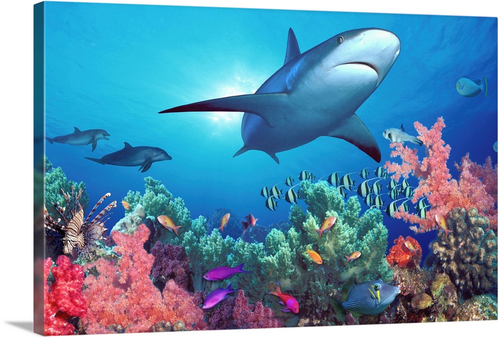 This wall art photograph show aquatic animals swimming through digital composite of marine landscape of a coral reef.