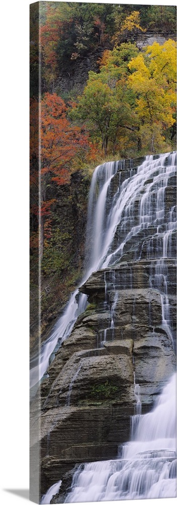 Portrait, low angle photograph on a large canvas of Ithaca Falls in Ithaca, New York.  Brightly colored autumn trees above...