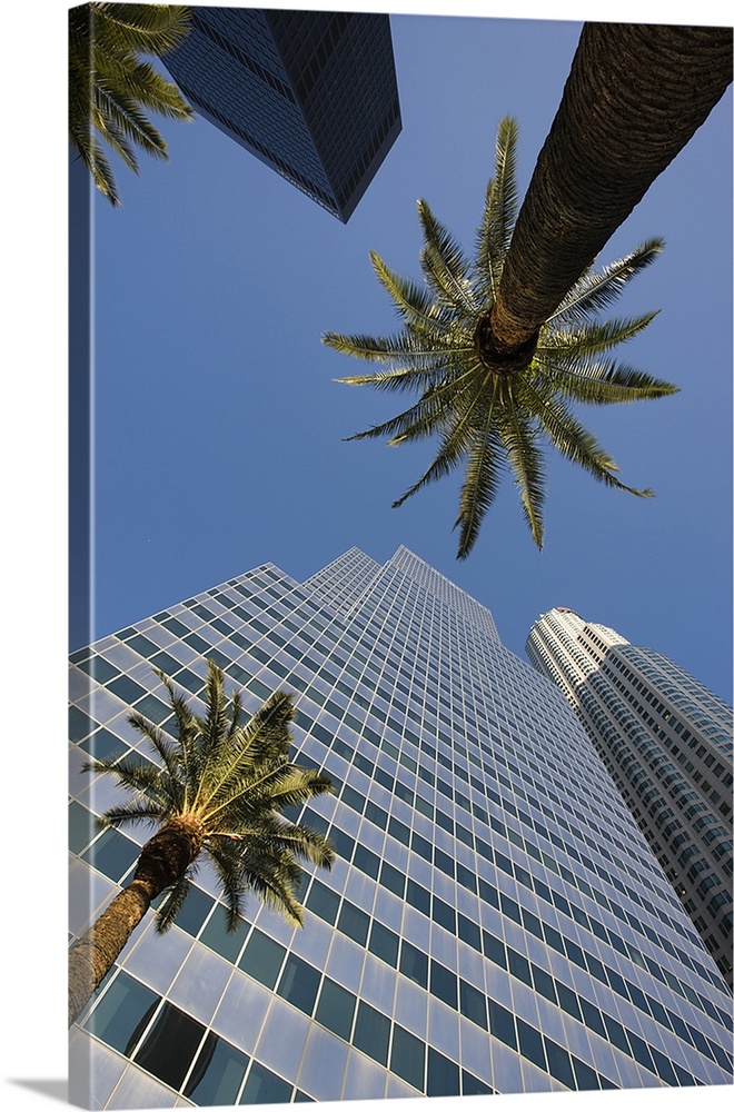 Low angle view of office buildings, Los Angeles, California, USA