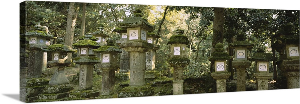 Low angle view of stone lanterns, Kasuga Taisha, Nara, Japan