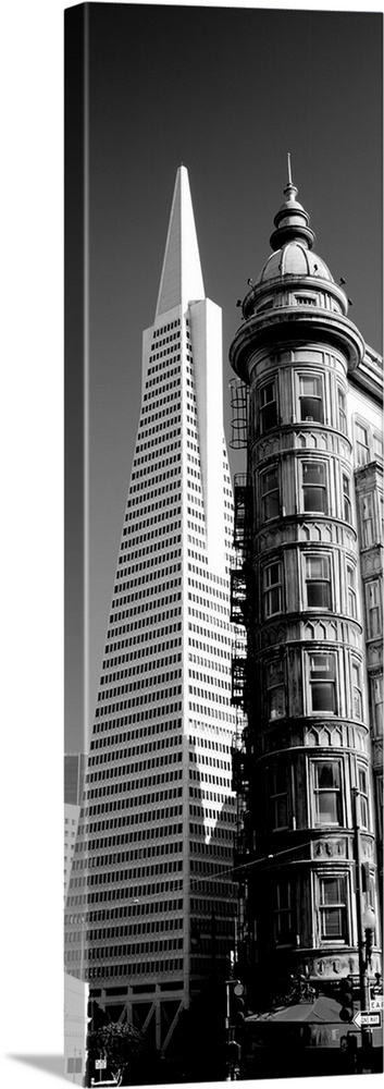 Low angle view of towers, Columbus Tower, Transamerica Pyramid, San Francisco, California, USA.