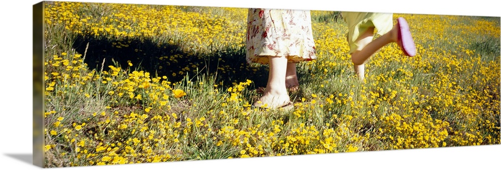 Low section view of a woman and her daughter in a field, Marin County, California