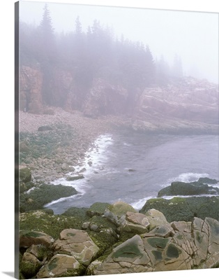 Maine, Acadia National Park, Atlantic Coast, Beach covered with fog