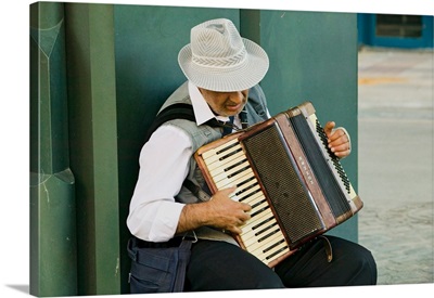Male accordion player in town center of Sevilla, Andalucia, Southern Spain
