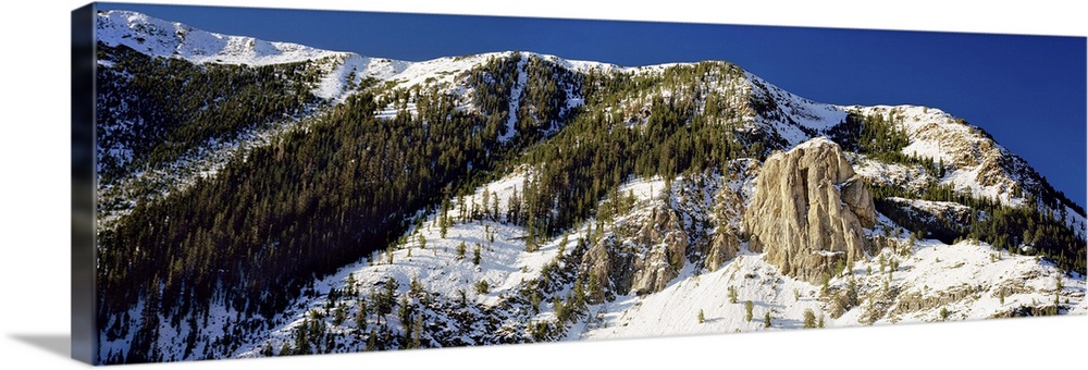 Mammoth Rock, Mammoth Lakes, Mono County, California Wall Art, Canvas ...