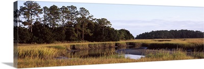 Marsh land, Little Talbot Island State Park, Little Talbot Island, Florida