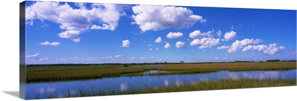 Marsh land, St. Augustine, St. Johns County, Florida, USA