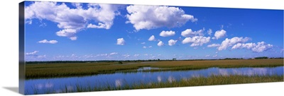 Marsh land, St. Augustine, St. Johns County, Florida