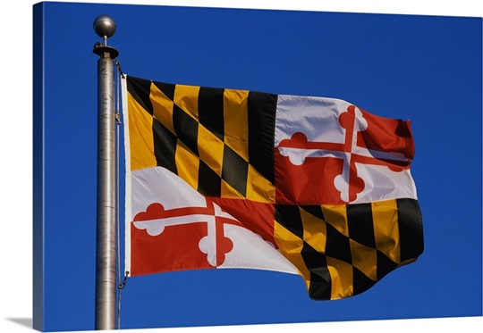 Maryland State Flag Photo Canvas Print | Great Big Canvas