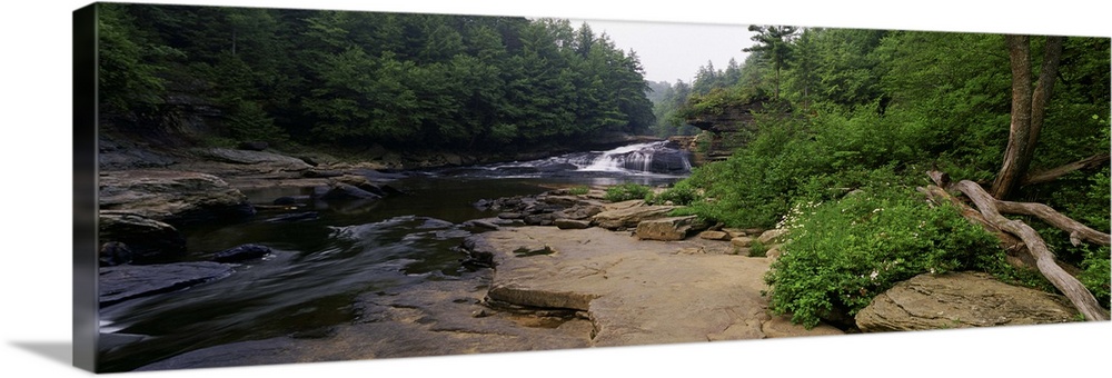 Maryland, Swallow Falls State Park, Stream of water flowing through a forest