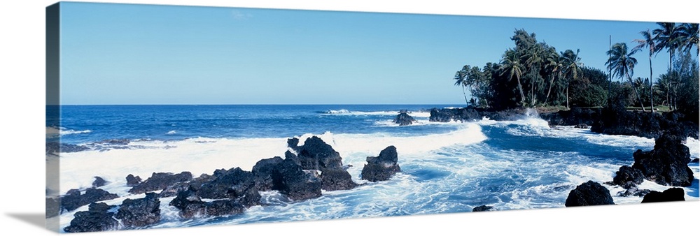 Panoramic photograph of rocky oceanfront with palm trees and waves crashing in.