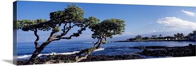Mauna Lani Resorts HI