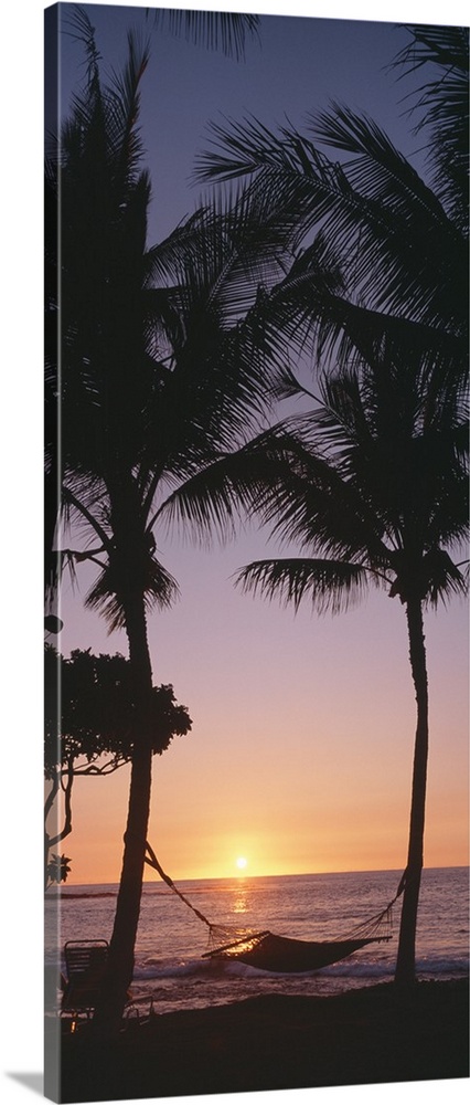 Vertical panoramic of two tall palm trees with hammock on beach at sunset.
