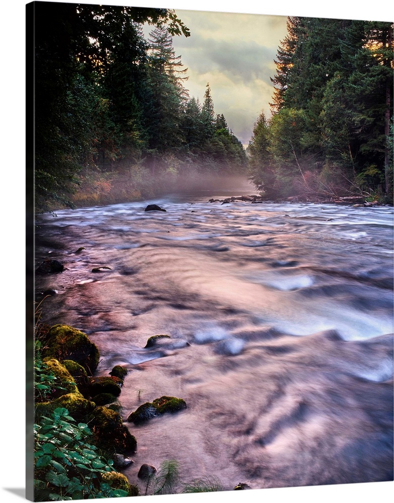 River flowing through a forest, McKenzie River, Belknap Hot Springs, Willamette National Forest, Lane County, Oregon, USA