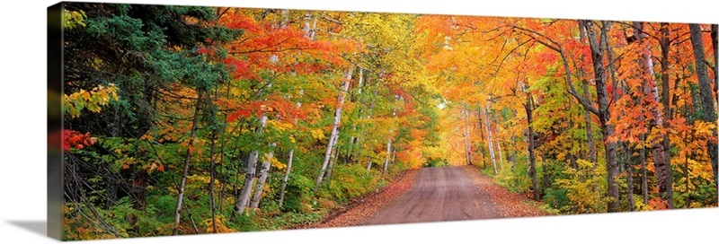 Michigan, Copper Harbor, road | Great Big Canvas