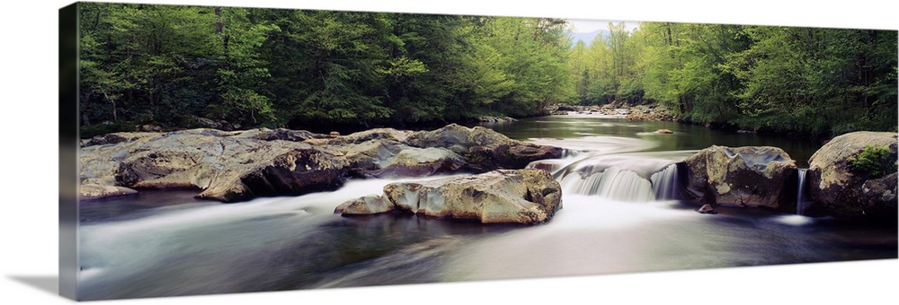 Middle Prong of Little Pigeon River, Great Smoky Mountains National Park, Tennessee