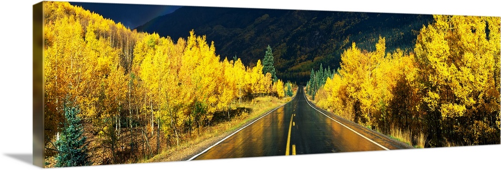 Panoramic photograph shows a wet roadway in Colorado faintly displaying the blurry reflection of the surrounding trees ove...