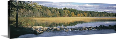 Minnesota, Itasca State Park, View of trees around a lake