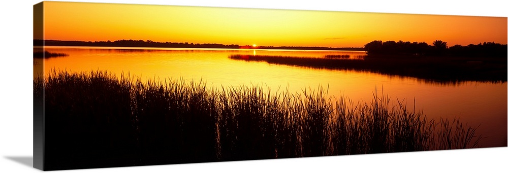 Panoramic image of the last bit of sun peeking at the horizon as it sets behind the reed lined Lake in Minnesota.