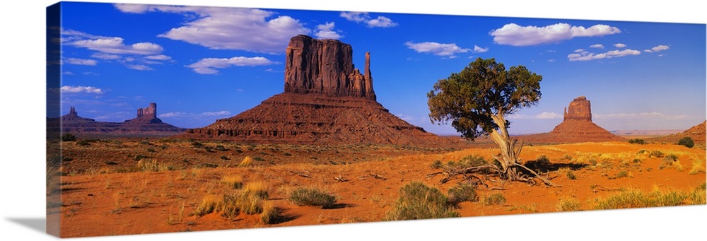 Long horizontal photo on canvas of rock formations in the desert of Arizona.