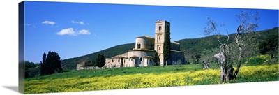 Monastery in a field, San Antimo Monastery, Tuscany, Italy