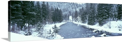 Montana, Gallatin River, winter