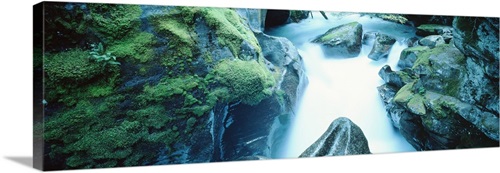 Montana, Glacier National Park, waterfall Wall Art, Canvas Prints ...