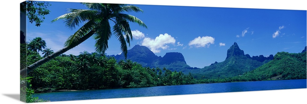 Panoramic photograph of forest and mountain covered landform surrounded by ocean.
