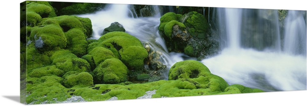 Oversized, horizontal photograph of a stream rushing through large, rocky terrain covered in thick moss.  A waterfall pour...