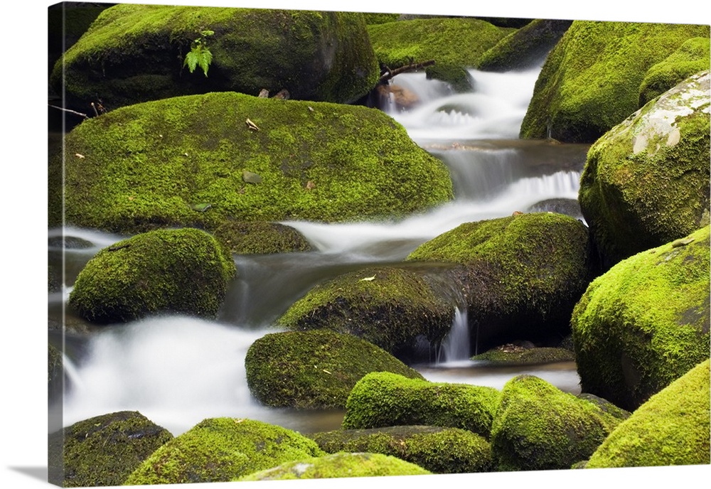 Large rocks are covered with moss as water runs down them.