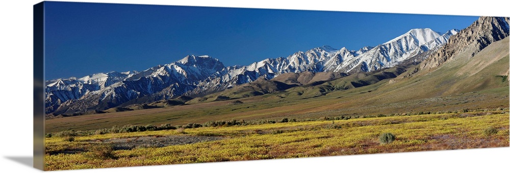 Mountain range, Eastern Sierra Mountains, Mono County, Bishop, California