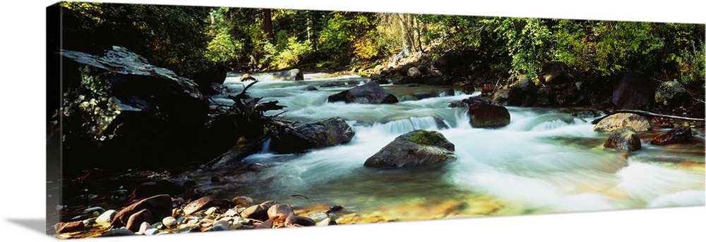 A time lapsed photograph of water coursing through a boulder filled river bed in the forest.