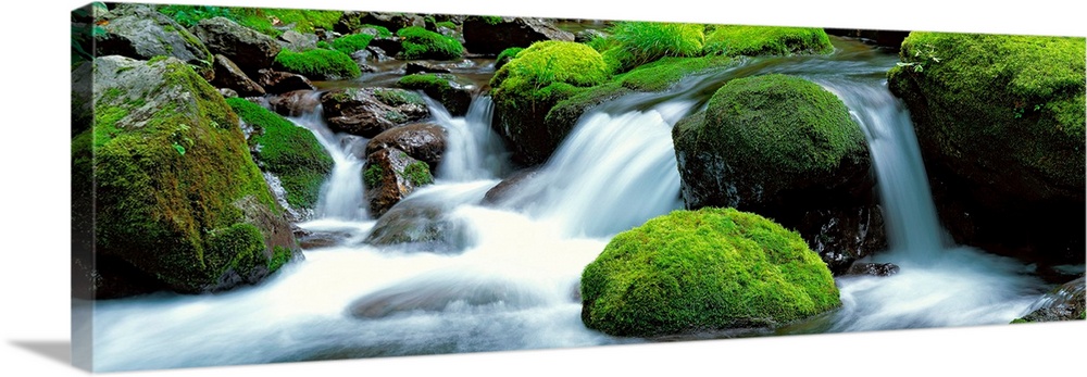 Panoramic photograph showcases water as it rushes down the small drop-offs of a river littered with moss-covered rocks.