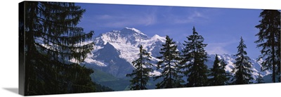 Mountains covered with snow, Swiss Alps, Wengen, Bernese Oberland, Switzerland