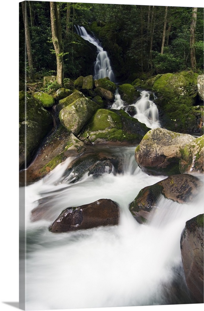 A stream creates waterfalls and rapids through a river bed of moss covered boulders.