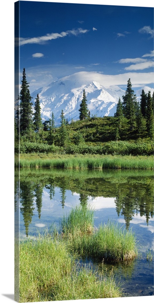 This is a vertical photograph of a mountain peak, trees, and clouds reflecting in a pond in an Alaskan meadow.