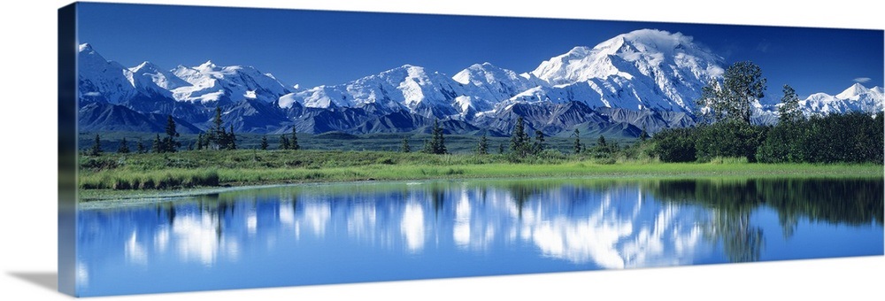 Mt McKinley and Wonder Lake Denali National Park AK Wall Art, Canvas ...